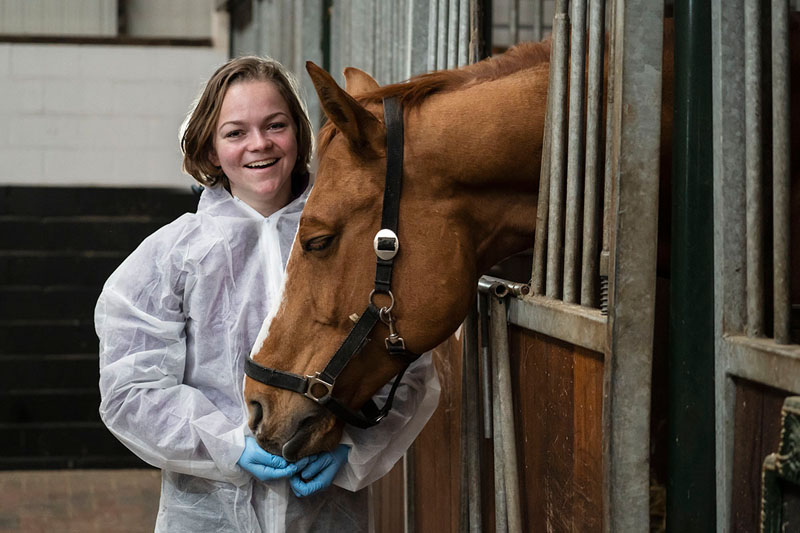 Bedrijfsfotograaf L!ESBETH maakt bedrijfsreportage bij exportbedrijf paarden